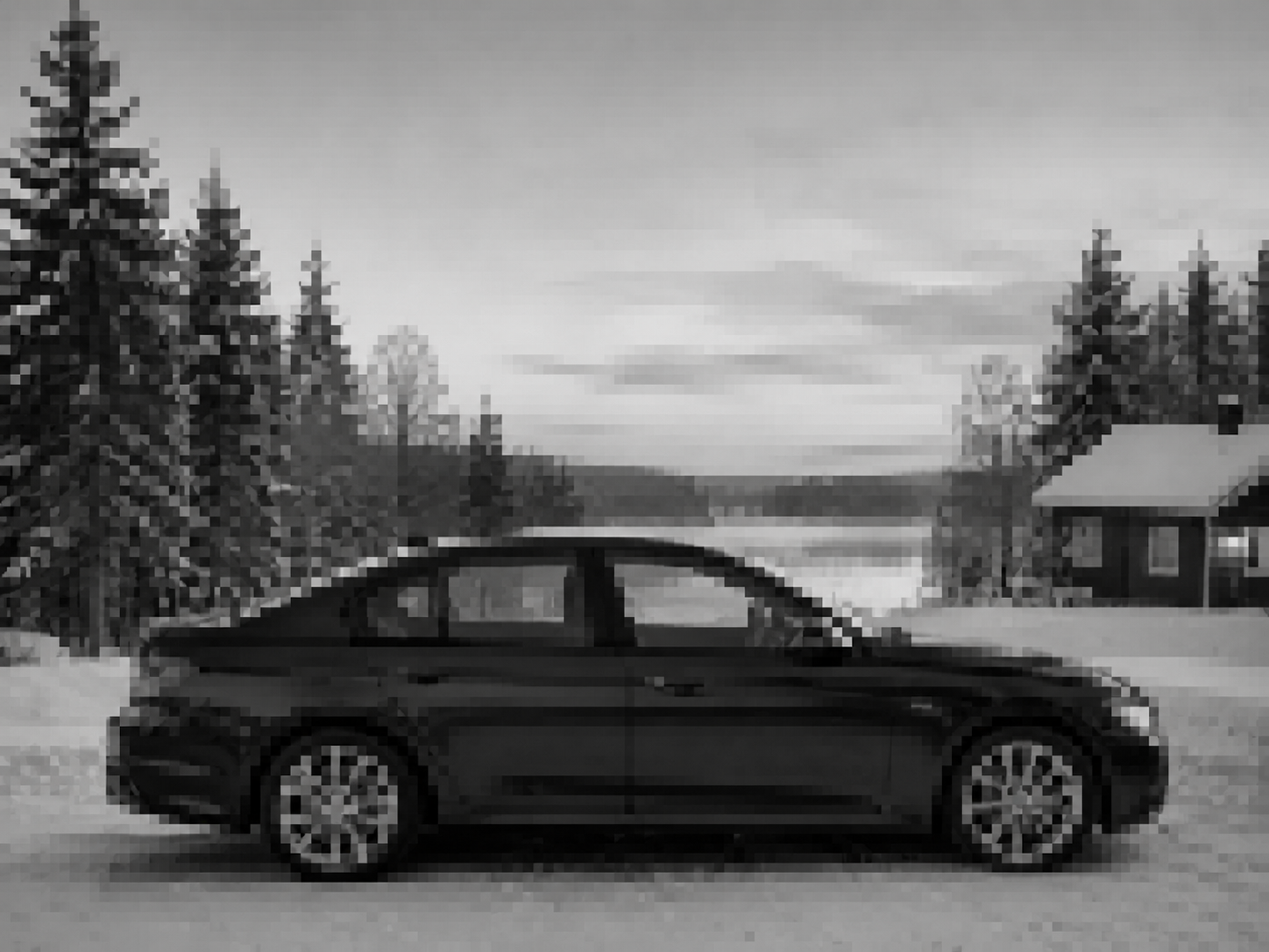Downsampled grayscale model view of the roadside frame